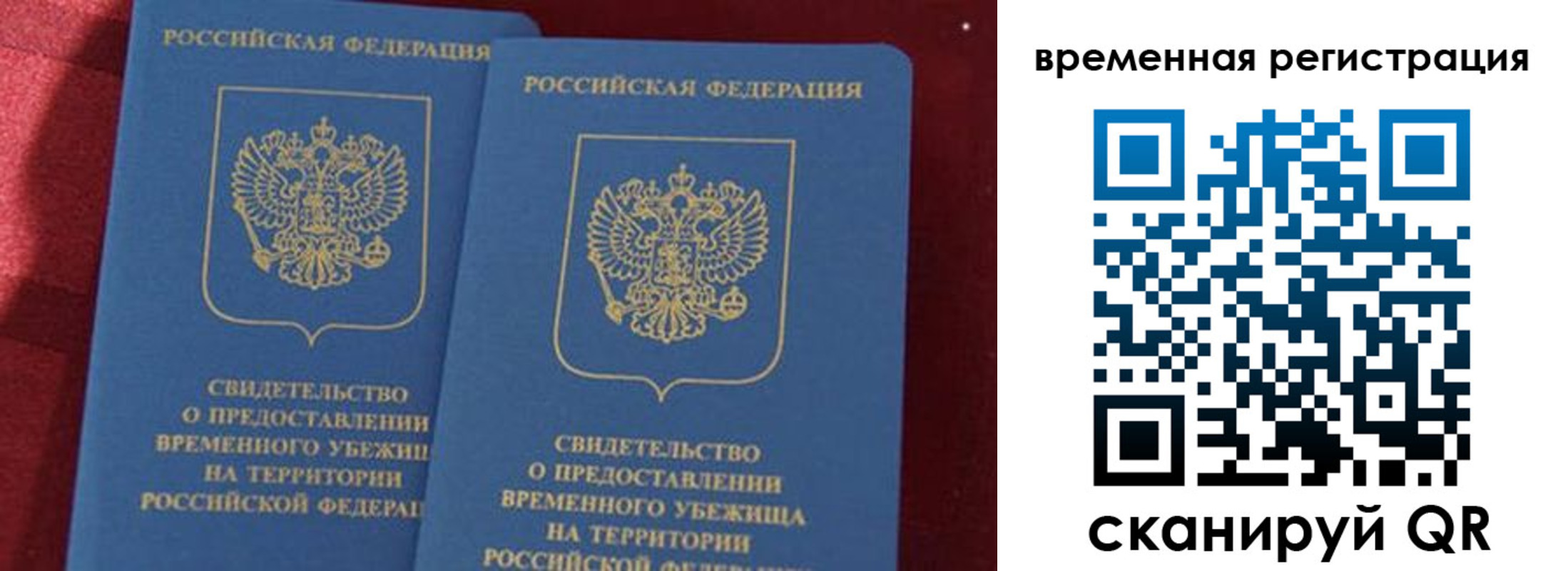 временная регистрация гарантия в Ельне